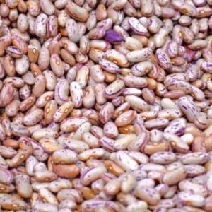 Legumes