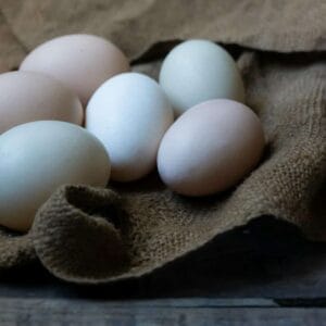 Dairy & Eggs