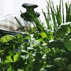 Fresh herbs