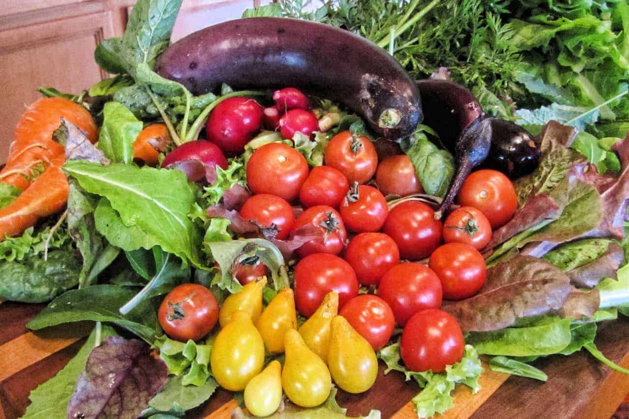 Getting started with our Online farmers market platform
