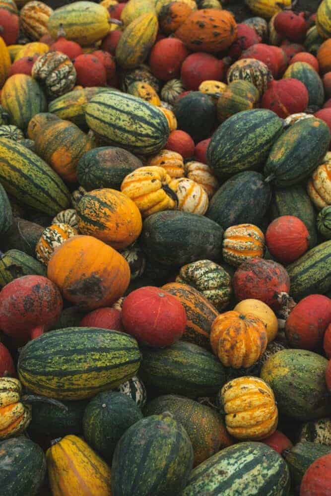Seasonal UK Food Calendar: What to Eat Each Season